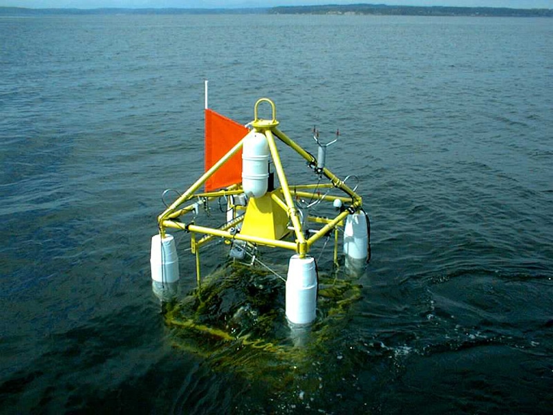 Wave mapping buoy